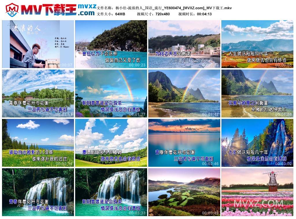 杨小壮-流浪的人_国语_流行_YE600474